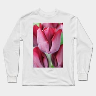 Tulipa  &#39;Ronaldo&#39;  Triumph Group  Tulip Long Sleeve T-Shirt